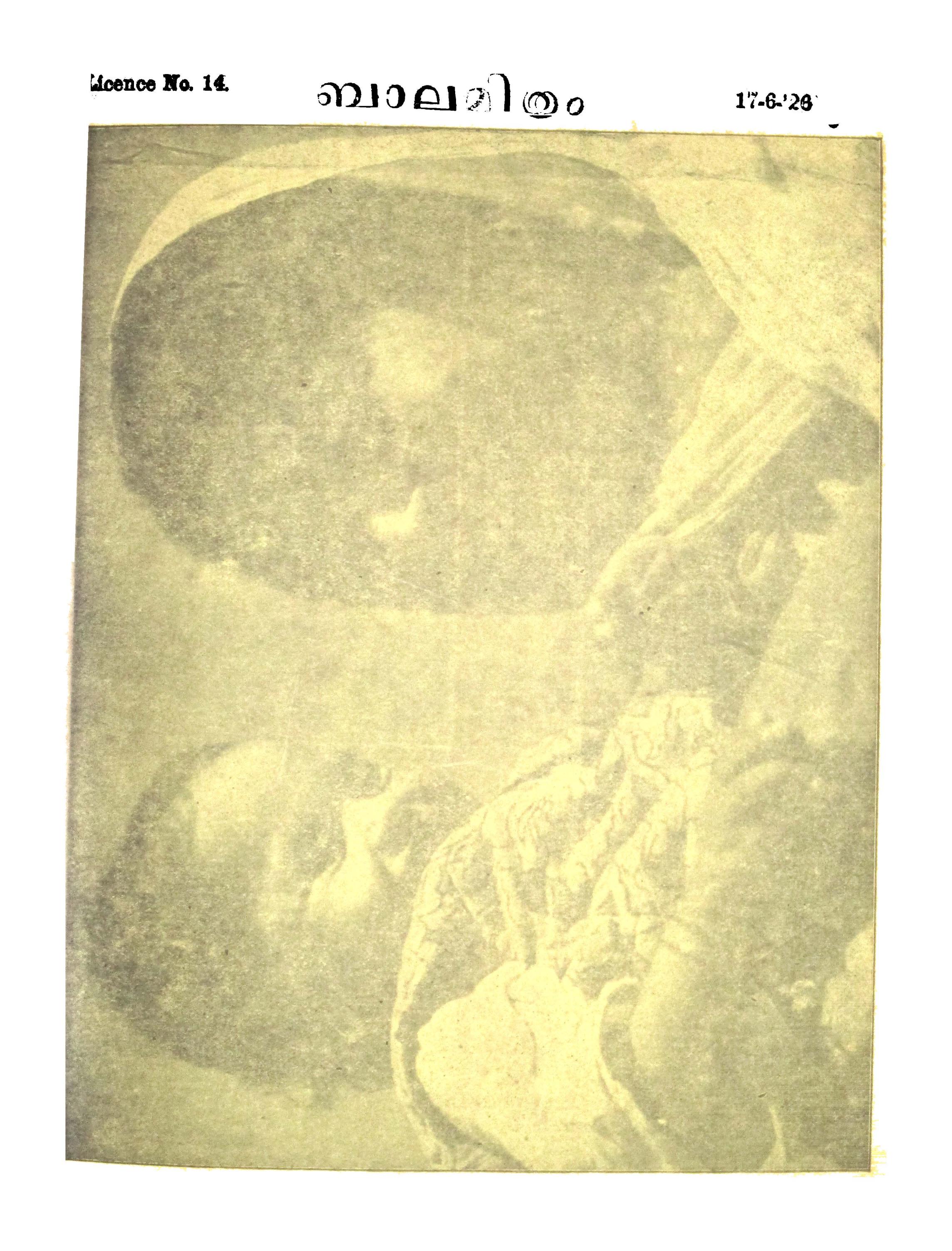 Book page image